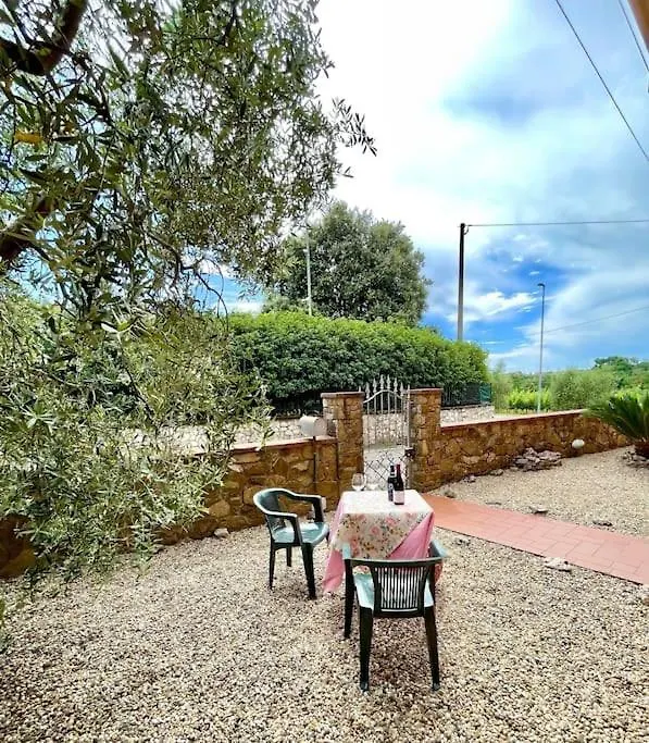 Casa Narcisa La Tua Oasi Tra Vigne E Olivi Apartment Montecarlo Italy